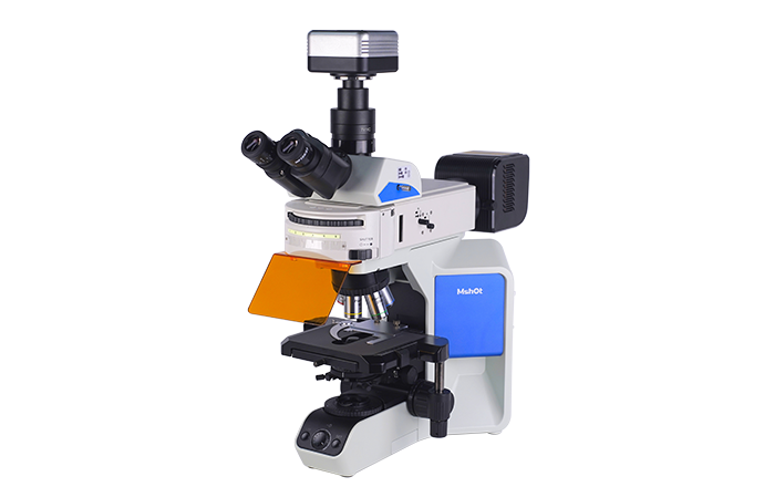 研究級(jí)正置熒光顯微鏡MF43-N