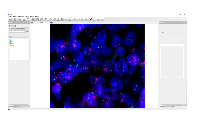 熒光原位雜交(FISH)分析系統(tǒng)