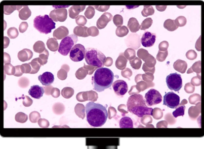 一體屏相機(jī)MD28-A