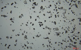 金相顯微鏡助力化妝品添加劑檢測(cè)