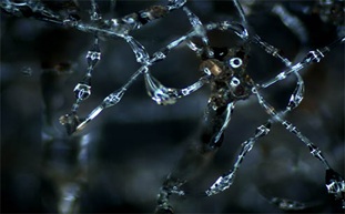 金相顯微鏡用于砂石/塑膠/海綿等產(chǎn)品檢測(cè)